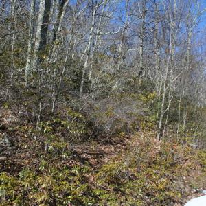 Photo #2 of TBD HIGH VALLEY NORTH, MONTEREY, VA 5.0 acres