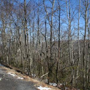 Photo #3 of TBD HIGH VALLEY NORTH, MONTEREY, VA 5.0 acres