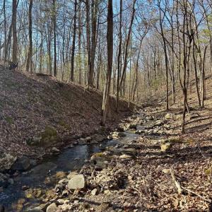 Photo #6 of Lot 10 INDEPENDENCE LN, NEW MARKET, VA 4.0 acres