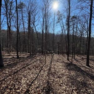 Photo #2 of Lot 10 INDEPENDENCE LN, NEW MARKET, VA 4.0 acres