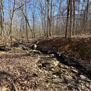 Photo #3 of Lot 10 INDEPENDENCE LN, NEW MARKET, VA 4.0 acres