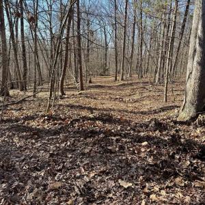 Photo #1 of Lot 10 INDEPENDENCE LN, NEW MARKET, VA 4.0 acres