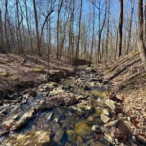 Photo #5 of Lot 10 INDEPENDENCE LN, NEW MARKET, VA 4.0 acres