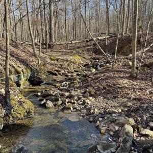 Photo #4 of Lot 10 INDEPENDENCE LN, NEW MARKET, VA 4.0 acres
