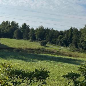 Photo #1 of HOLLAND CREEK RD, LOUISA, VA 2.0 acres
