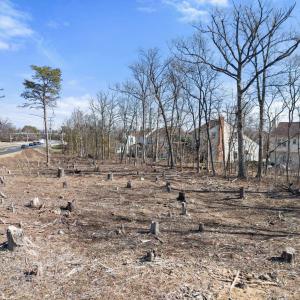 Photo #8 of 20576 ASHBURN RD, ASHBURN, VA 1.0 acres
