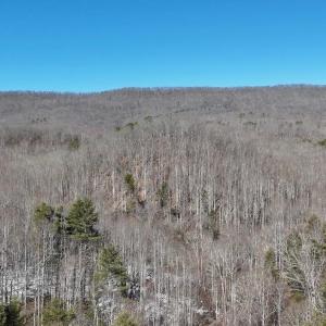 Photo #1 of tbd WESTMINSTER RD, MILLBORO, VA 114.0 acres