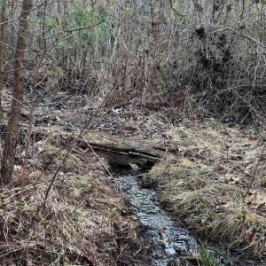 Photo #15 of 23-51 ID HOOVER RD, DUET, VA 30.3 acres