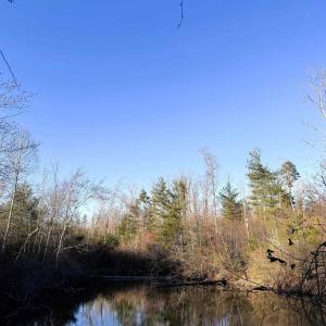 Photo #14 of 23-51 ID HOOVER RD, DUET, VA 30.3 acres
