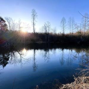 Photo #1 of 23-51 ID HOOVER RD, DUET, VA 30.3 acres