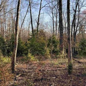 Photo #11 of 23-51 ID HOOVER RD, DUET, VA 30.3 acres