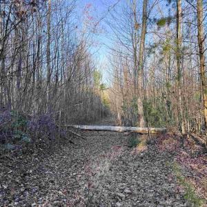 Photo #7 of 23-51 ID HOOVER RD, DUET, VA 30.3 acres