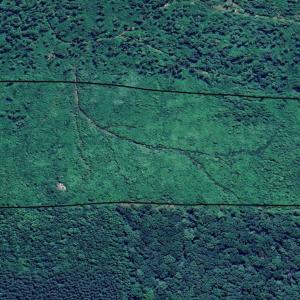 Land was cleared/timber cut a few years back = less make-ready work. Property has access to pond and creeks.