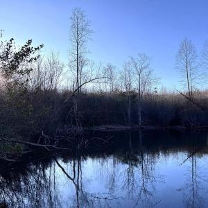 Photo #13 of 23-51 ID HOOVER RD, DUET, VA 30.3 acres