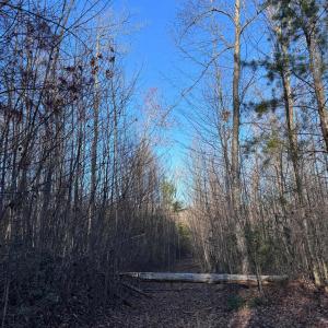 Photo #6 of 23-51 ID HOOVER RD, DUET, VA 30.3 acres