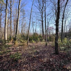 Photo #12 of 23-51 ID HOOVER RD, DUET, VA 30.3 acres