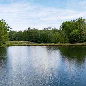 Photo #12 of HIGH CREST LN, WINTERGREEN, VA 0.5 acres