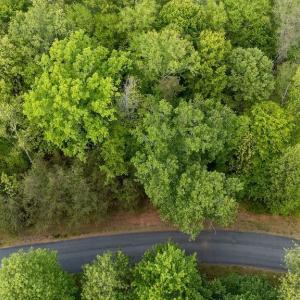 Photo #5 of HIGH CREST LN, WINTERGREEN, VA 0.5 acres