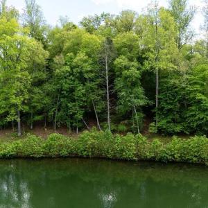Photo #11 of HIGH CREST LN, WINTERGREEN, VA 0.5 acres