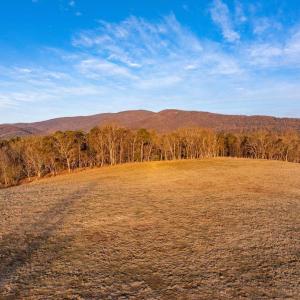 Photo #14 of 2292 BROWNS GAP TPKE, CHARLOTTESVILLE, VA 81.5 acres