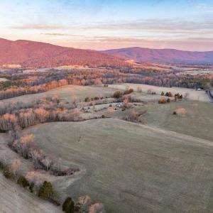 Photo #10 of 2292 BROWNS GAP TPKE, CHARLOTTESVILLE, VA 81.5 acres
