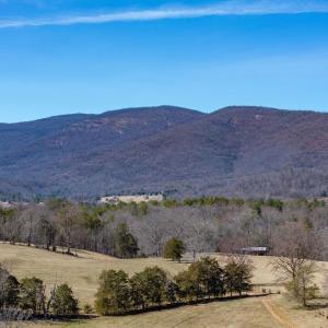 Photo #18 of 2292 BROWNS GAP TPKE, CHARLOTTESVILLE, VA 81.5 acres