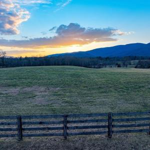 Photo #7 of 2292 BROWNS GAP TPKE, CHARLOTTESVILLE, VA 81.5 acres
