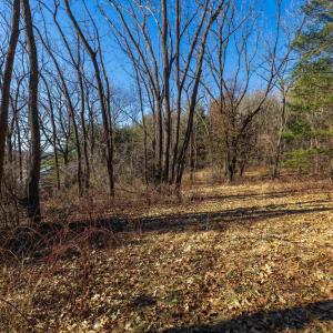 Photo #4 of TBD FAIRVIEW RD, MOUNT CRAWFORD, VA 5.0 acres