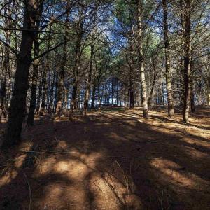Photo #2 of TBD FAIRVIEW RD, MOUNT CRAWFORD, VA 5.0 acres