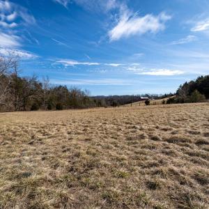 Photo #27 of Lot 4 SHULER LN, STANLEY, VA 8.9 acres