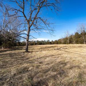 Photo #17 of Lot 4 SHULER LN, STANLEY, VA 8.9 acres