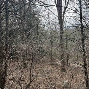 Photo #3 of TBd COLD SPRINGS RD, RAPHINE, VA 11.9 acres