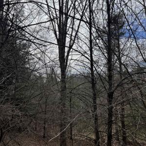 Photo #1 of TBd COLD SPRINGS RD, RAPHINE, VA 11.9 acres