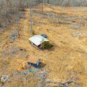 Photo #13 of Lot 1 STARLIGHT LN, KENBRIDGE, VA 24.8 acres