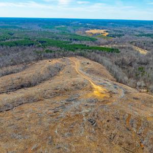 Photo #10 of Lot 1 STARLIGHT LN, KENBRIDGE, VA 24.8 acres