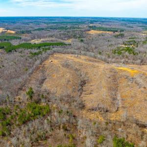 Photo #4 of Lot 1 STARLIGHT LN, KENBRIDGE, VA 24.8 acres