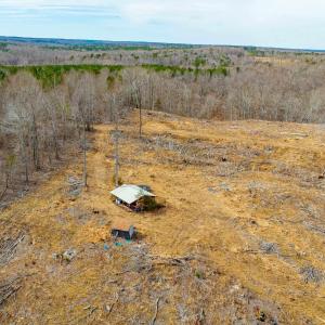 Photo #12 of Lot 1 STARLIGHT LN, KENBRIDGE, VA 24.8 acres