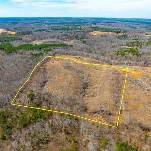 Photo #3 of Lot 1 STARLIGHT LN, KENBRIDGE, VA 24.8 acres