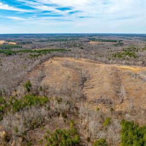 Photo #6 of Lot 2 STARLIGHT LN, KENBRIDGE, VA 14.4 acres