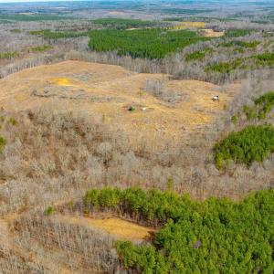 Photo #11 of Lot 2 STARLIGHT LN, KENBRIDGE, VA 14.4 acres