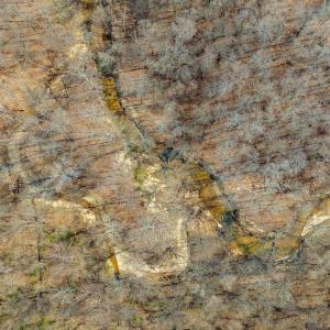 Photo #12 of Lot 2 STARLIGHT LN, KENBRIDGE, VA 14.4 acres