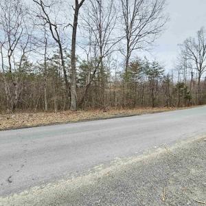 Photo #7 of TBD EVANS MILLS RD, DILLWYN, VA 7.8 acres