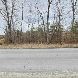 Photo #6 of TBD EVANS MILLS RD, DILLWYN, VA 7.8 acres