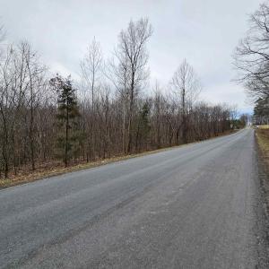 Photo #9 of TBD EVANS MILLS RD, DILLWYN, VA 7.8 acres