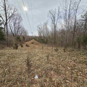 Photo #4 of TBD EVANS MILLS RD, DILLWYN, VA 7.8 acres