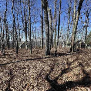 Photo #4 of 25 FERNWOOD CT, WINTERGREEN RESORT, VA 0.5 acres