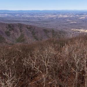 Photo #1 of 25 FERNWOOD CT, WINTERGREEN RESORT, VA 0.5 acres