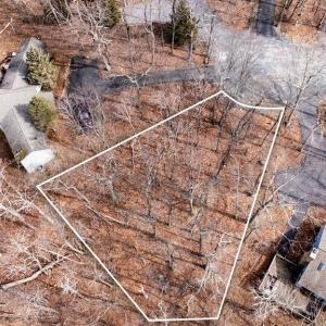 Photo #8 of 25 FERNWOOD CT, WINTERGREEN RESORT, VA 0.5 acres
