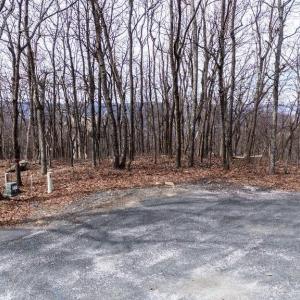 Photo #3 of 25 FERNWOOD CT, WINTERGREEN RESORT, VA 0.5 acres