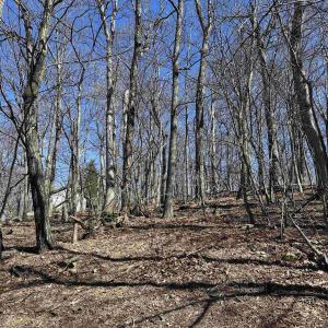 Photo #5 of 25 FERNWOOD CT, WINTERGREEN RESORT, VA 0.5 acres